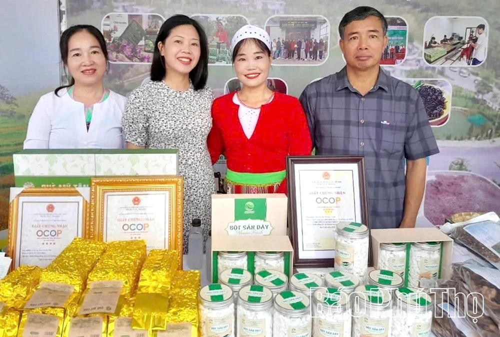 ម្សៅដំឡូងបារាំង ញួនត្រាច ត្រជាក់ និងស្រស់ស្រាយ