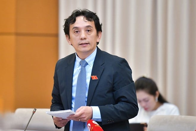 Delegát Tran Viet Anh