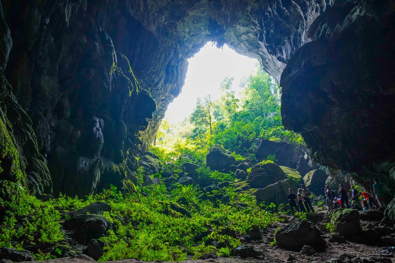 រុក្ខជាតិខៀវខ្ចីនៅខាងក្នុងរូងភ្នំ Voi ក្នុង Phong Nha - Ke Bang។ រូបថត៖ Jungle Boss Tours