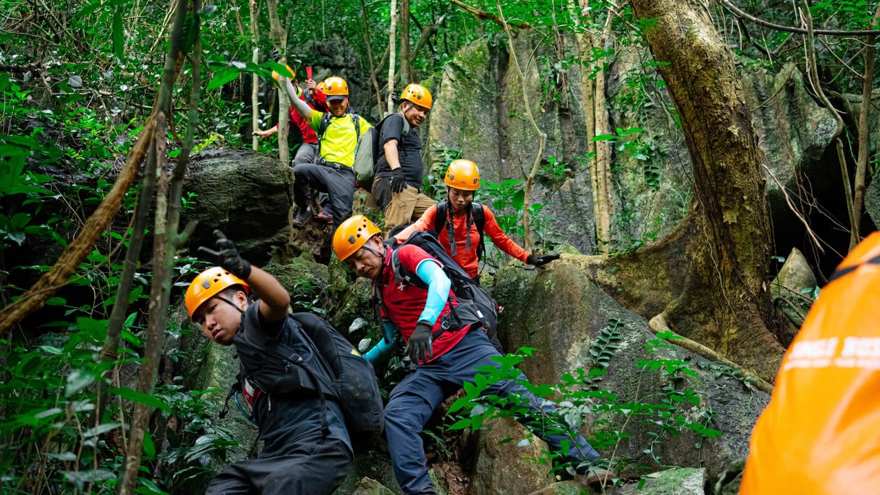 ការវង្វេងក្នុងចំណោមដើមឈើបុរាណដើម្បីរីករាយនឹងខ្យល់អាកាសបរិសុទ្ធនៃព្រៃចាស់នៃឧទ្យានជាតិគឺជាបទពិសោធន៍មួយក្នុងចំណោមបទពិសោធន៍ដែលមិនអាចបំភ្លេចបាន។ រូបថត៖ Jungle Boss Tours