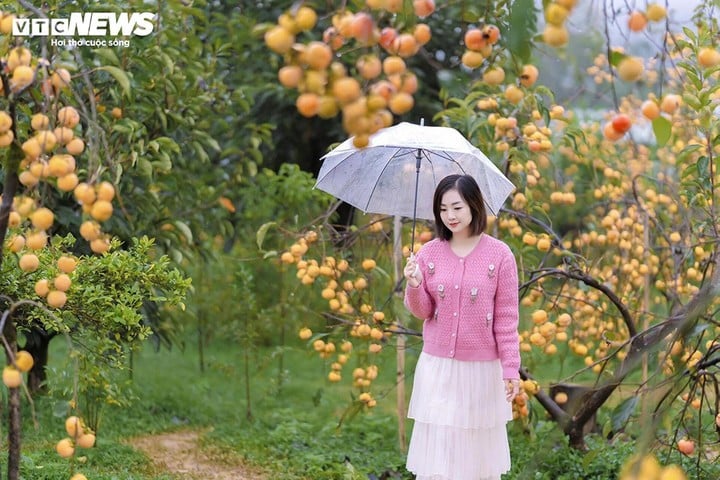 Πρόγνωση καιρού για τις 12 Νοεμβρίου, ηλιοφάνεια στο Βορρά. (Εικονογράφηση φωτογραφίας: The Anh)