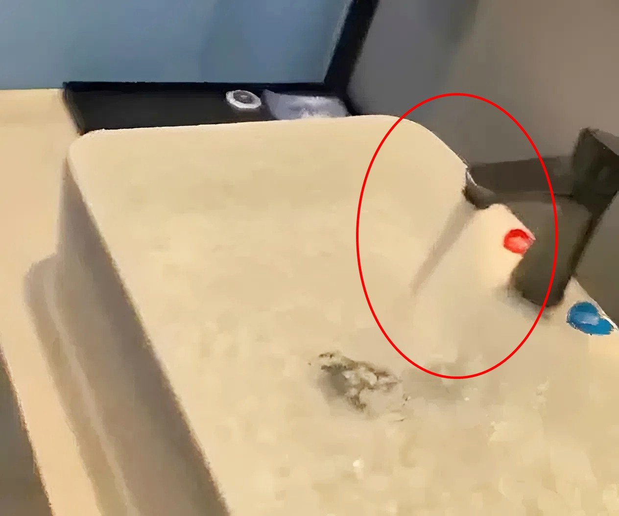 រូបភាព 1.jpeg