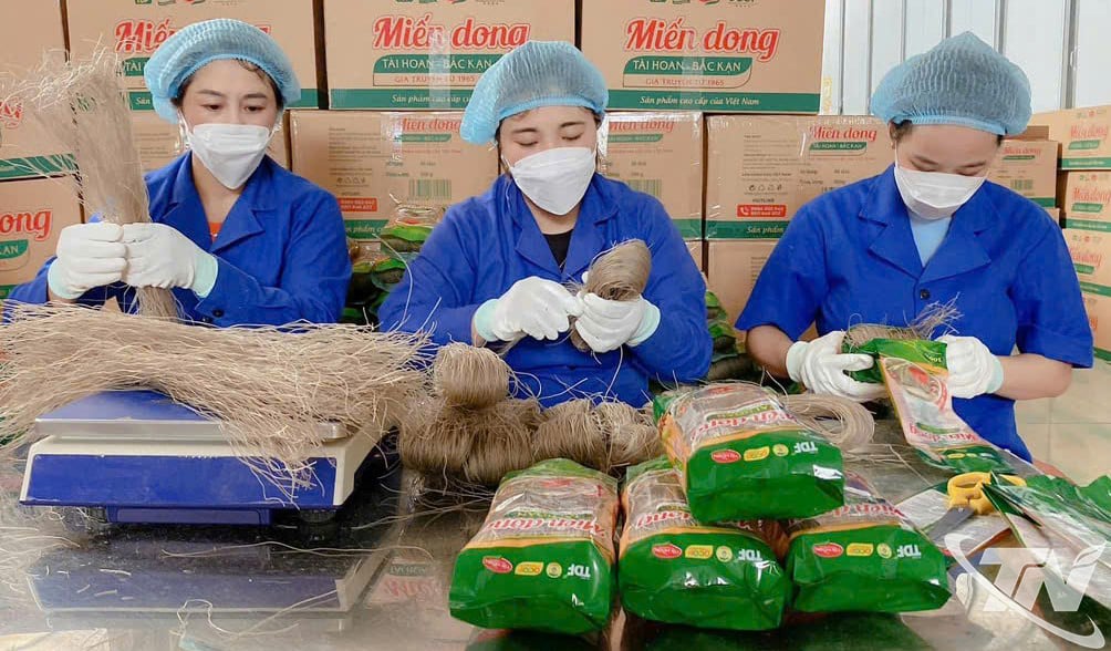 Професія вермішельника приносить етнічному населенню комуни Кон Мінь понад 50 мільярдів донгів на рік.