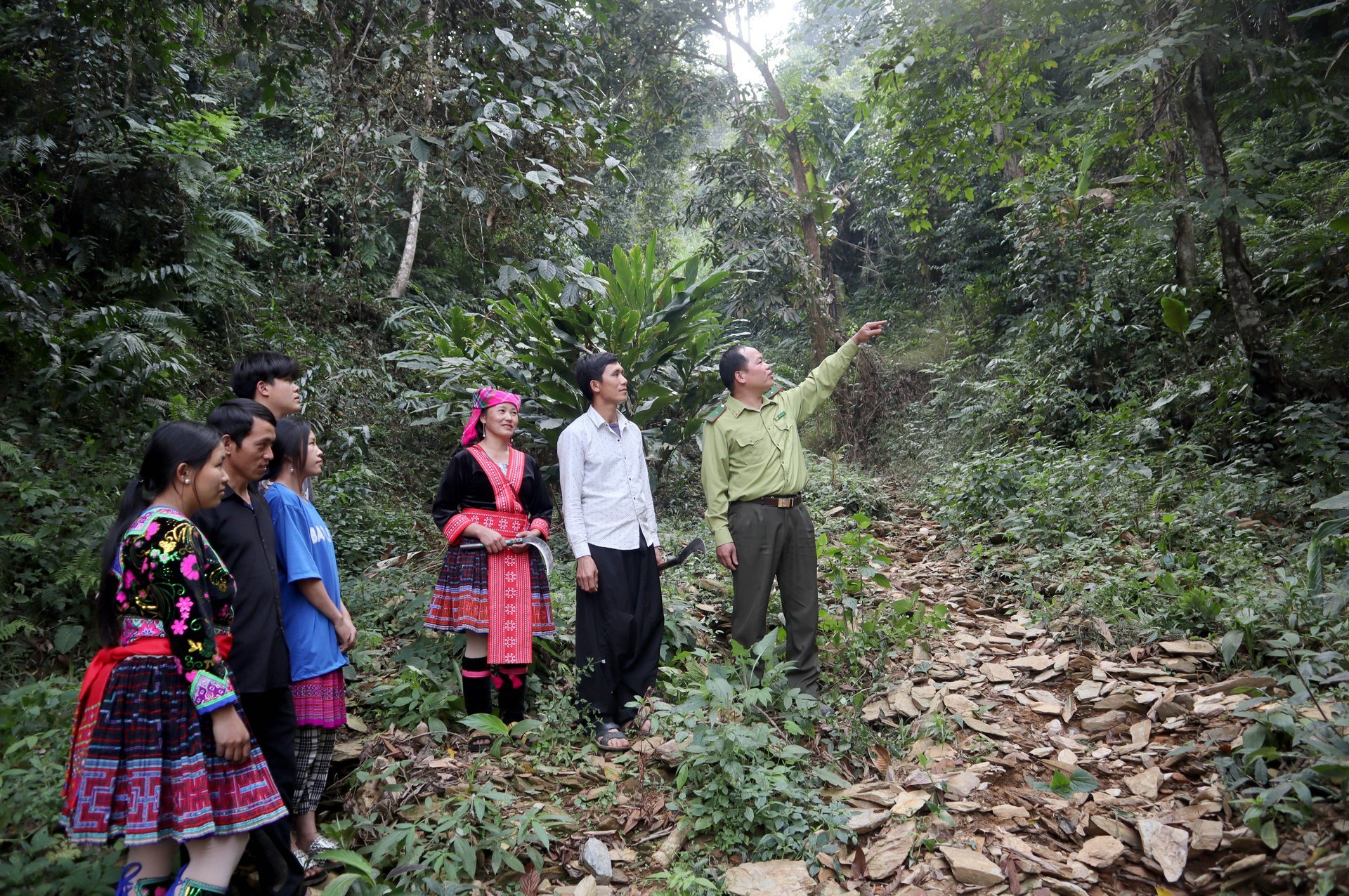 Οι δασοφύλακες διαδίδουν και καθοδηγούν τους ανθρώπους για να προστατεύουν και να φροντίζουν το δάσος. Φωτογραφία: Van Tam. Cán bộ kiểm lâm tuyên truyền, hướng dẫn bà con bảo vệ, chăm sóc cho rừng. Ảnh: Vạn Tâm.