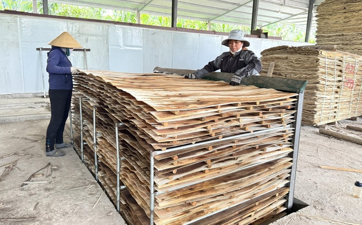 Hiện nay, cơ sở chế biến gỗ Hưng Nguyên ngoài giúp người trồng rừng nâng cao hiệu quả kinh tế mà còn tạo việc làm có thu nhập ổn định cho hơn 20 lao động địa phương. Ảnh: L.K.