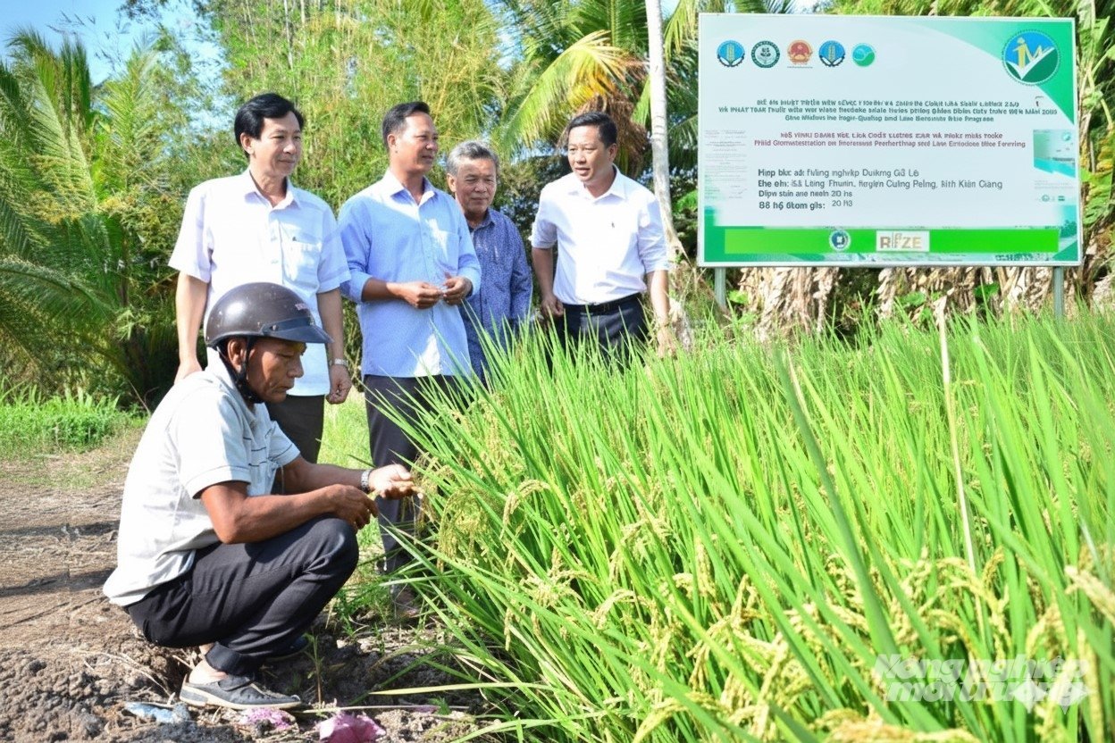 Hợp tác xã Đường Gỗ Lộ tham gia thực hiện Đề án 1 triệu ha lúa chất lượng cao, phát thải thấp, góp phần 'xanh hóa hạt gạo Việt' trên hành trình hội nhập quốc tế. Ảnh: Trung Chánh.