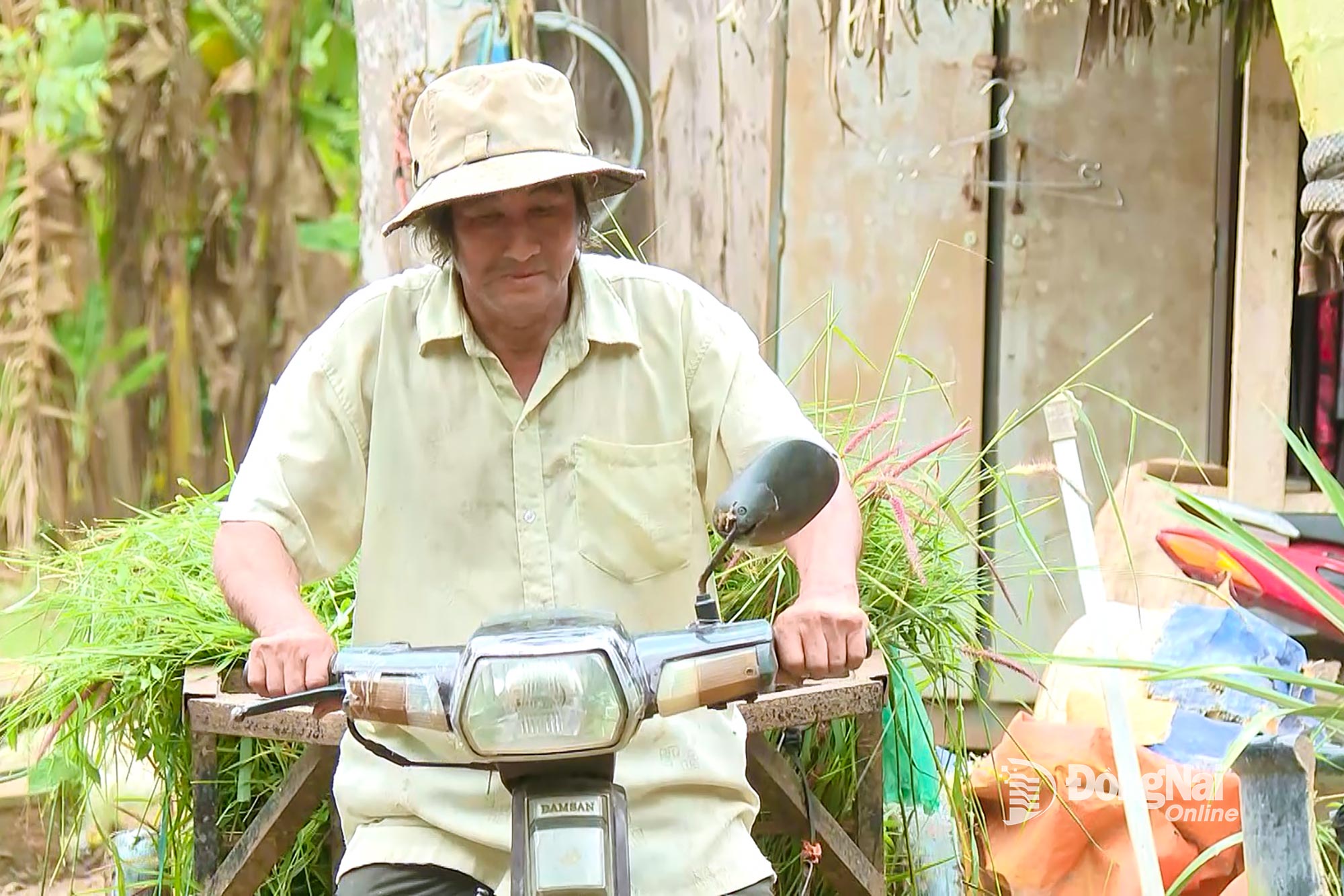 Meskipun usianya sudah lanjut dan kesehatannya kurang baik, Bapak Ngoc tetap berusaha bekerja untuk membiayai pendidikan cucu-cucunya. Foto: Thu Hien