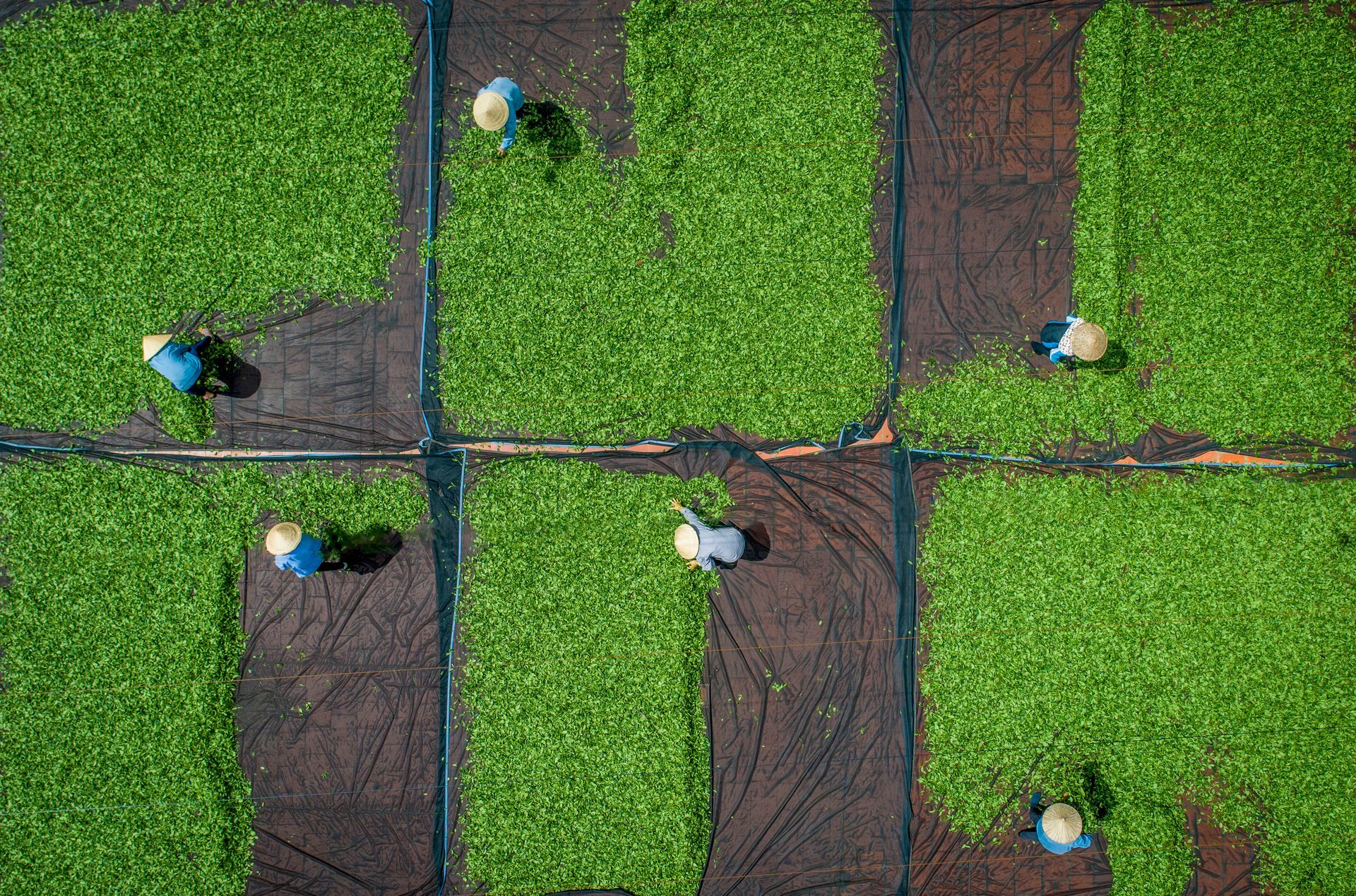 ກໍ່ສ້າງຍຸດທະສາດແຫ່ງຊາດກ່ຽວກັບຊັບພະຍາກອນທຳມະຊາດ - ສິ່ງແວດລ້ອມ - ກະສິກຳສີຂຽວ, ຖື 'ຊັບພະຍາກອນເປັນຮາກຖານ, ສິ່ງແວດລ້ອມເປັນກຳລັງຊຸກຍູ້, ກະສິກຳເປັນເສົາຄ້ຳ'. Xây dựng Chiến lược quốc gia về kinh tế tài nguyên - môi trường - nông nghiệp xanh, lấy 'tài nguyên là nền tảng, môi trường là động lực, nông nghiệp là trụ đỡ'.