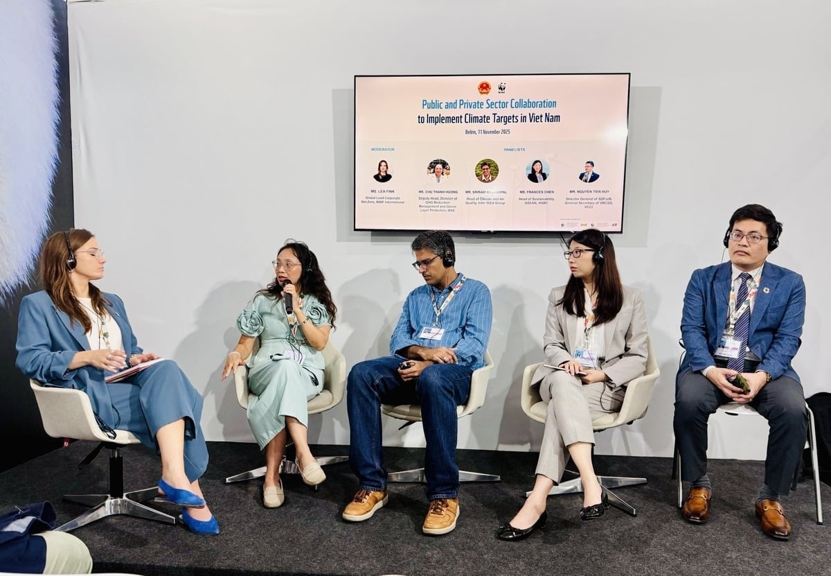 Đại diện Việt Nam chia sẻ về thực tiễn ứng công tác ứng phó biến đổi khí hậu trong nước, bao gồm các nỗ lực hợp tác công - tư. Ảnh: Chu Hương. 