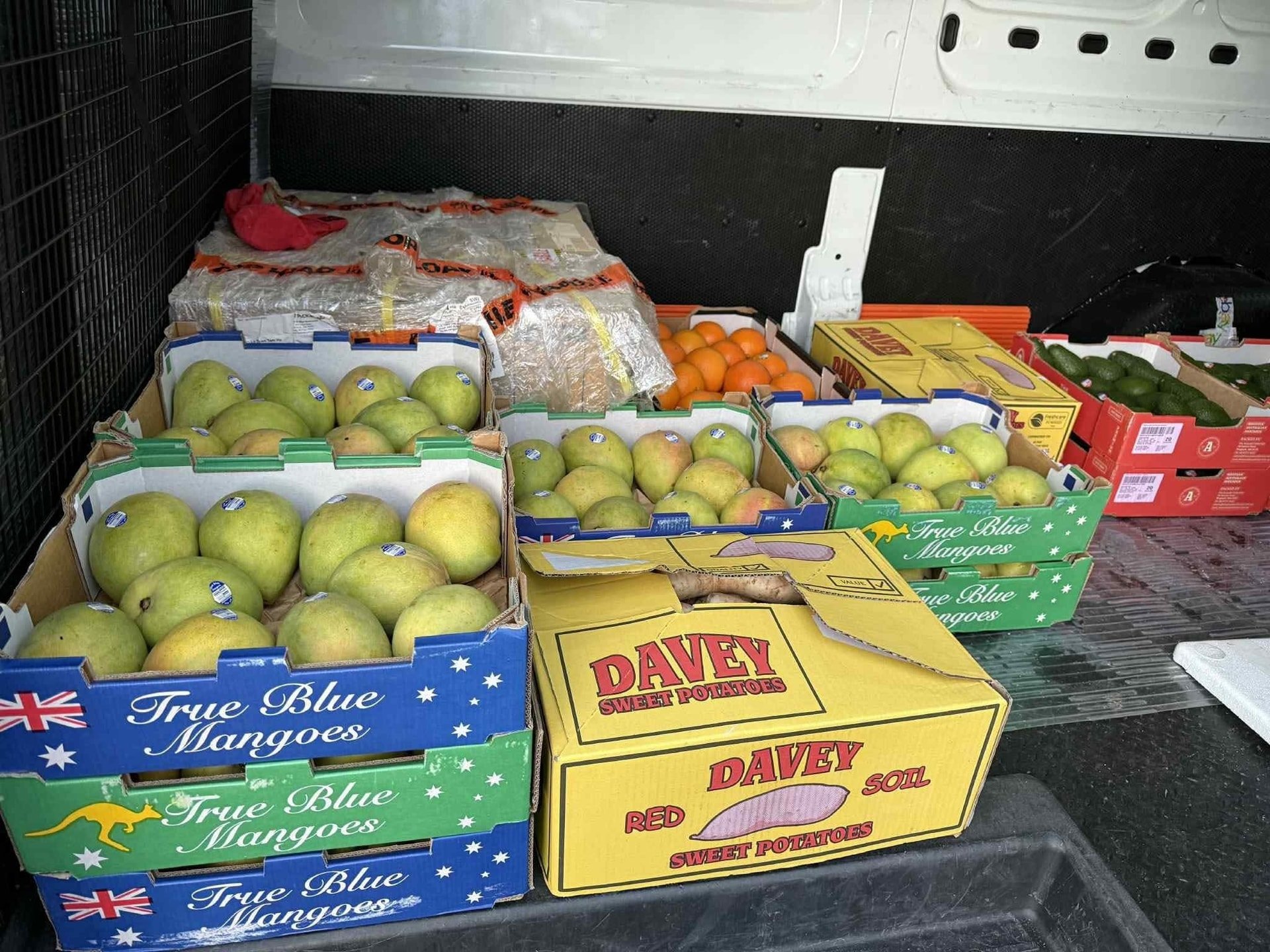 Xoài Úc Kensington Pride giá nửa triệu đến 800000 đồngkg “gây sốt” thị trường