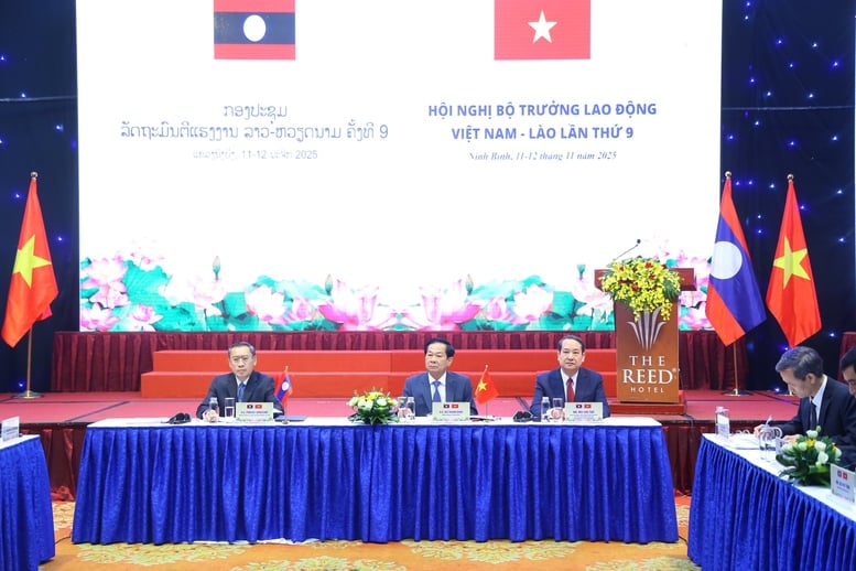 Việt Nam và Lào ký hợp tác trong lĩnh vực lao động và người có công- Ảnh 1.