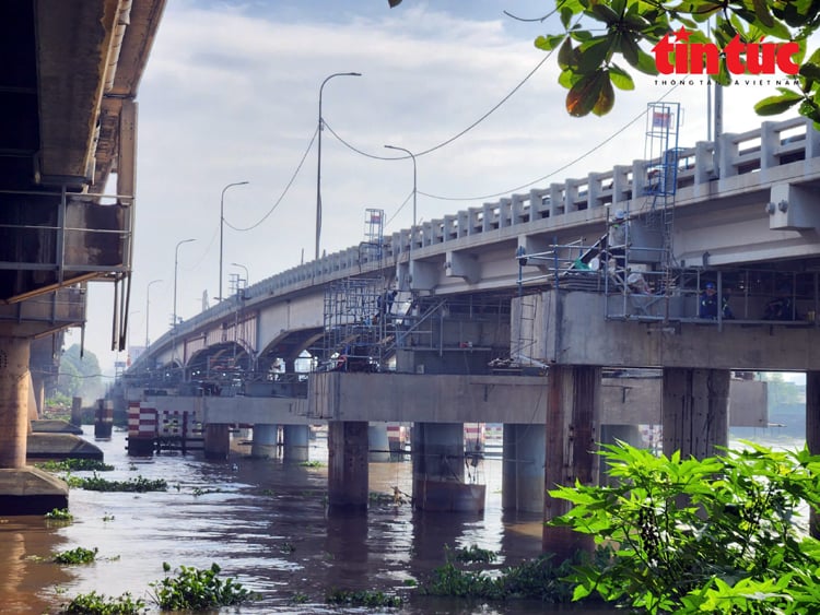 ចំណងជើងរូបថត