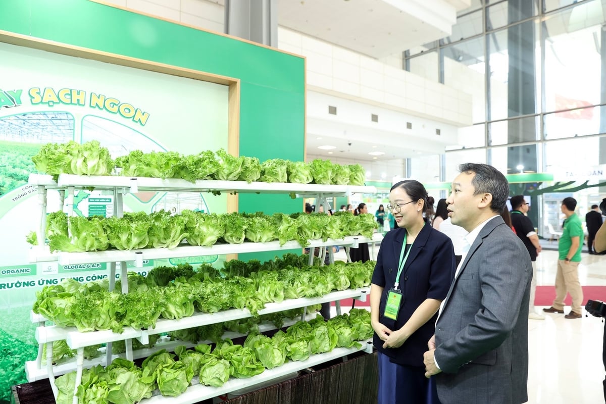 Khách hàng tham quan mô hình xà lách thủy canh của WinEco tại triển lãm 80 năm ngành Nông nghiệp và Môi trường. Ảnh: Masan.