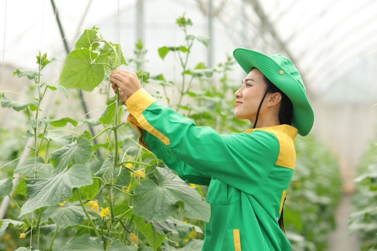 WinEco sở hữu hệ thống 14 nông trường công nghệ cao. Ảnh: Masan.