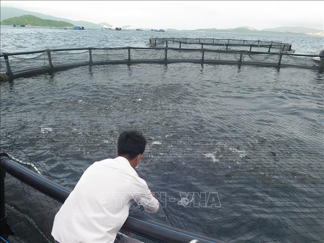 ចំណងជើងរូបថត