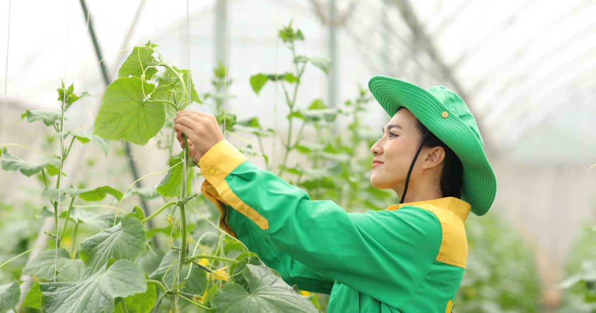 Dấu ấn Masan tại Triển lãm 80 năm nông nghiệp: Khẳng định vai trò tiên phong kiến tạo 'kỷ nguyên xanh' của Việt Nam