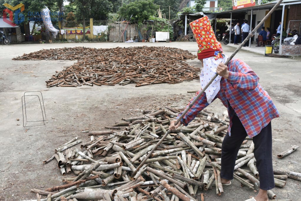 Etnické menšiny v obci Quang Tan suší skořicovou kůru po sklizni.