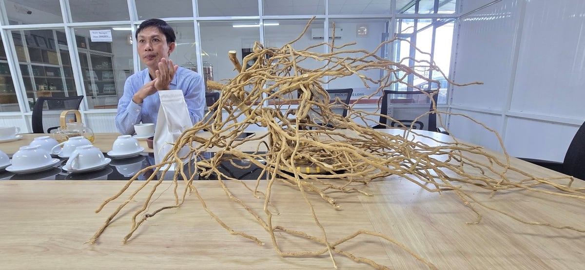 Anh Nguyễn Văn Khôn là người đưa cây dược liệu xáo tam phân đến với Đồng Nai và phát triển thành vùng trồng dược liệu nổi tiếng. Ảnh: Minh Sáng.