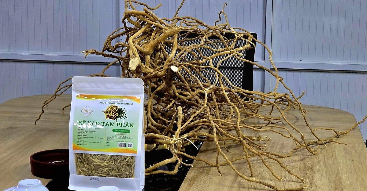 Từ nguyên liệu xáo tam phân, Công ty TNHH Dược liệu Tâm Tâm An của anh Khôn đã nghiên cứu và phát triển 9 dòng sản phẩm, trong đó 4 sản phẩm đạt chuẩn OCOP 4 sao. Ảnh: Minh Sáng.