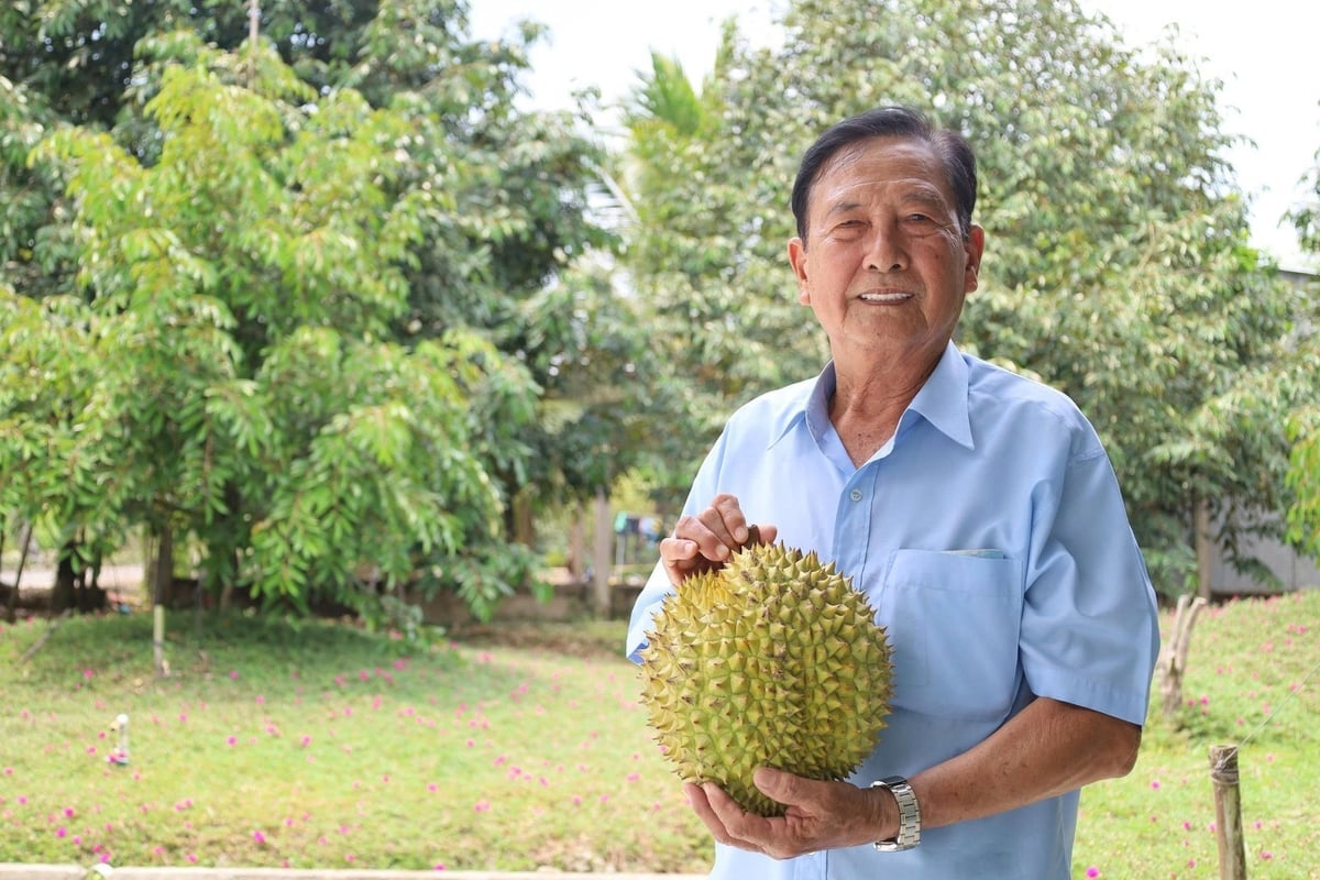 Với cách làm nông theo hướng chuyên nghiệp, gắn sản xuất với thị trường, khoa học và công nghệ đã giúp ông Lê Văn Sáu trở thành tỉ phú sầu riêng. Ảnh: Lê Hùng.