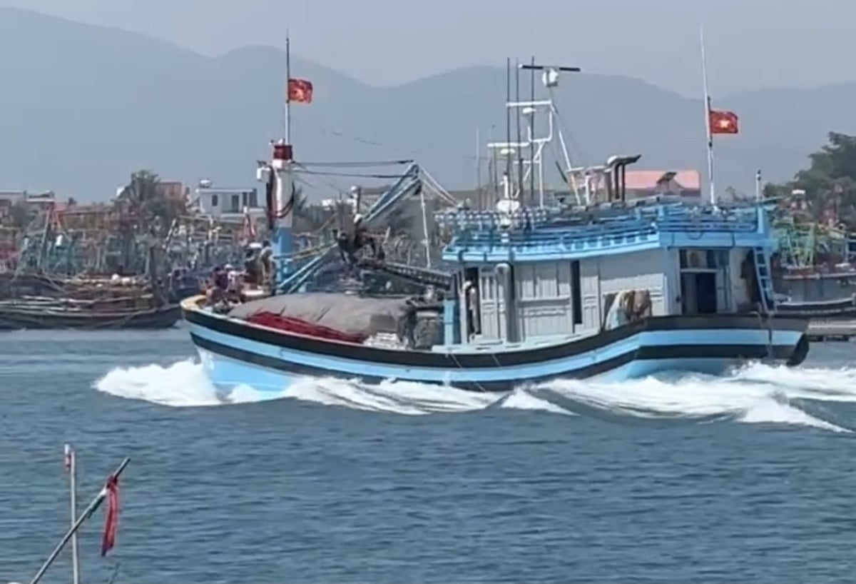 Tàu cá BĐ 94707 TS của anh Tâm đang cập Cảng cá Đề Gi (xã Đề Gi, Gia Lai) để bán sản phẩm. Ảnh: V.Đ.T.