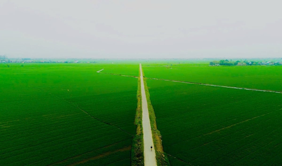 Nghị quyết số 57-NQ/TW tạo động lực để nông nghiệp phát triển nhanh, nâng cao năng lực cạnh tranh và giải quyết các thách thức môi trường. Ảnh: Văn Dinh.