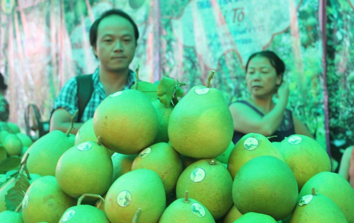 Thúc đẩy chuyển đổi số và đổi mới sáng tạo sẽ là 'đòn bẩy' để ngành nông nghiệp vươn xa. Ảnh: Văn Dinh.