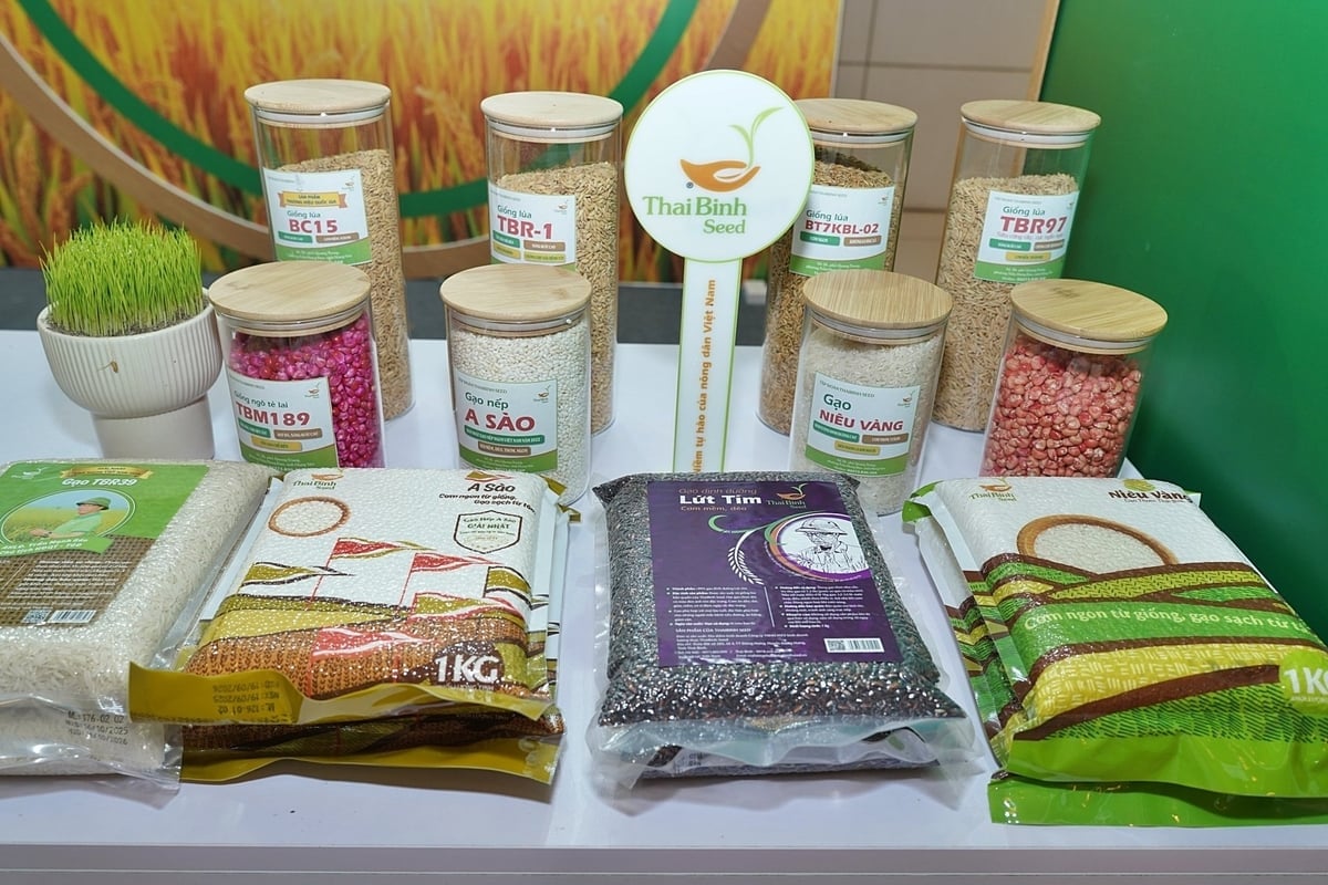 Các giống lúa nổi tiếng của ThaiBinh Seed như BC15, nếp A Sào, TBR225... được trưng bày tại Triển lãm tại khuôn khổ Lễ kỷ niệm 80 năm ngành NN-MT sáng 12/11. Ảnh: Bảo Thắng.