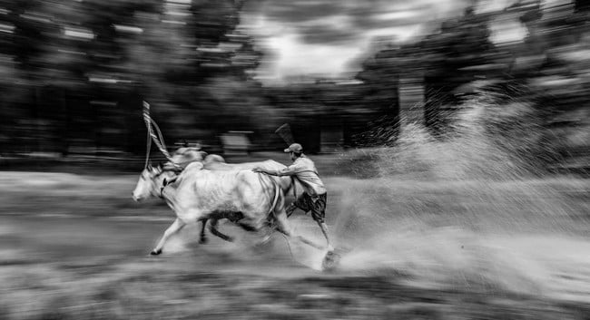 Lễ hội Đua bò Bảy Núi- Lễ hội truyền thống độc đáo của đồng bào Khmer - Ảnh 3.