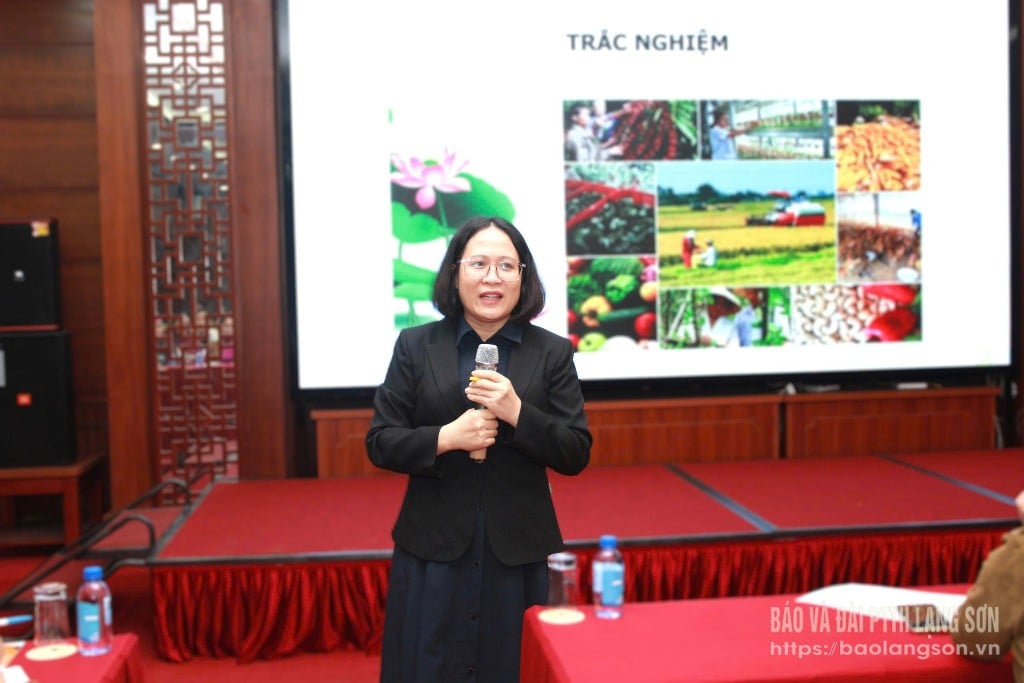 សាស្ត្រាចារ្យនៃមហាវិទ្យាល័យសេដ្ឋកិច្ច និងបច្ចេកវិទ្យា Hoa Binh ពិភាក្សាអំពីប្រធានបទនៃការអភិវឌ្ឍន៍ផលិតផល OCOP