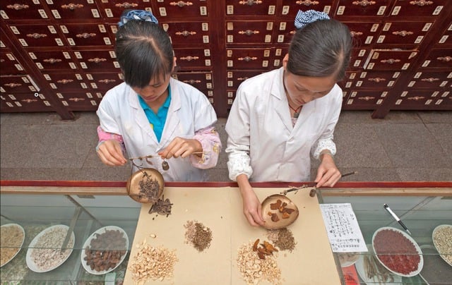 Giá trị bền vững của bài thuốc dân gian trong thời đại mới- Ảnh 1.