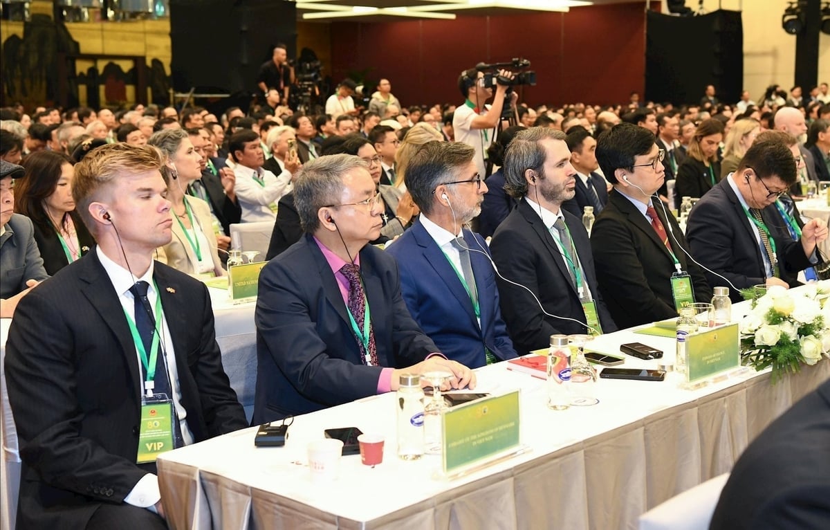 Đại biểu Quốc tế tham dự Lễ kỷ niệm 80 năm hình thành và phát triển ngành Nông nghiệp và Môi trường, kết hợp với Đại hội Thi đua yêu nước lần thứ I. Ảnh: Tùng Đinh.