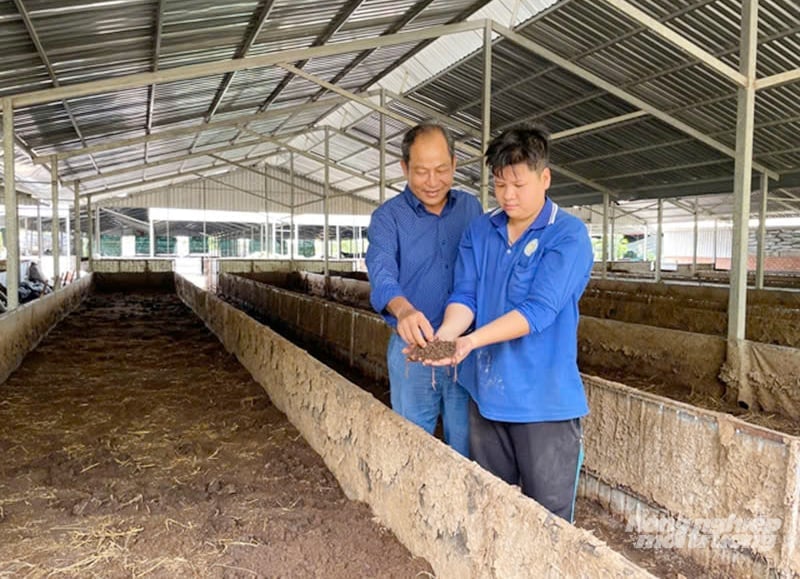 Ông Nguyễn Văn Chào (trái), Giám đốc Công ty TNHH Thành Chào kiểm tra chất lượng trùn quế. Ảnh: Lê Hoàng Vũ.