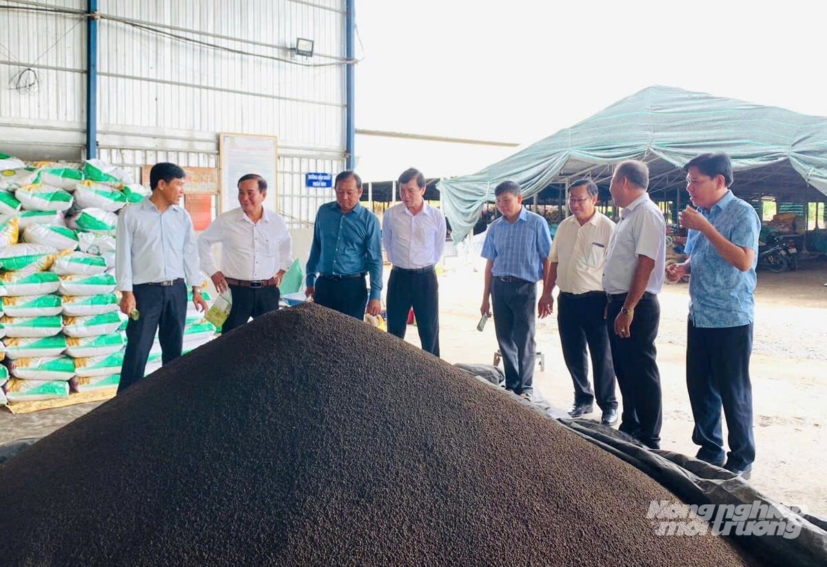 Đoàn công tác tỉnh Đồng Tháp tham quan khu vực sản xuất và kho thành phẩm phân bón hữu cơ của Công ty TNHH Thành Chào. Ảnh: Lê Hoàng Vũ.