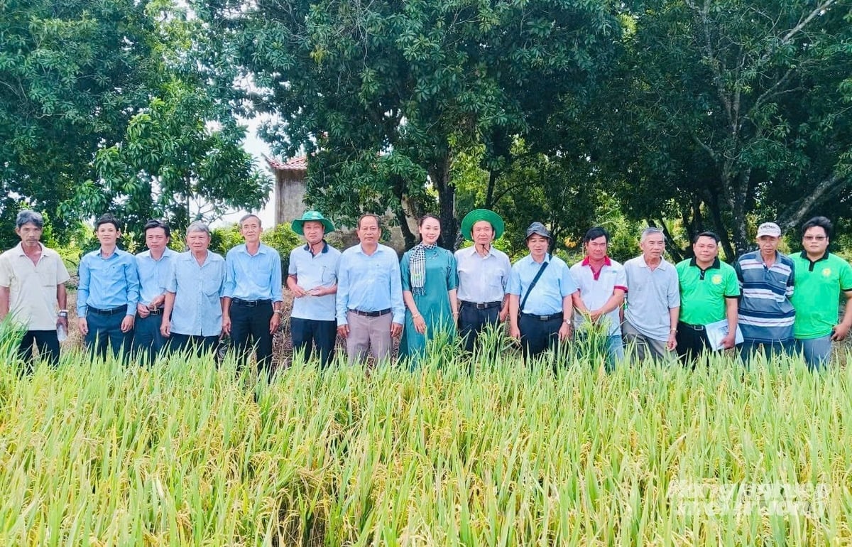 Công ty TNHH Thành Chào tham gia rất hiệu quả vào chủ trương tái cơ cấu nông nghiệp của tỉnh Đồng Tháp, đặc biệt trong phát triển mô hình kinh tế xanh và tuần hoàn. Ảnh: Lê Hoàng Vũ.