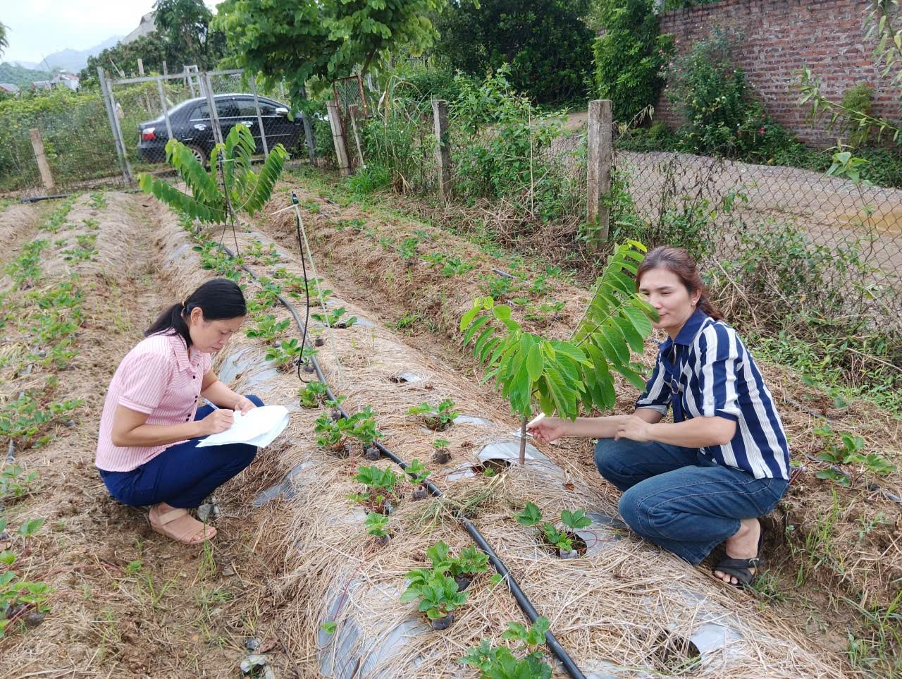 ខ្ញុំជឿអ្នក។