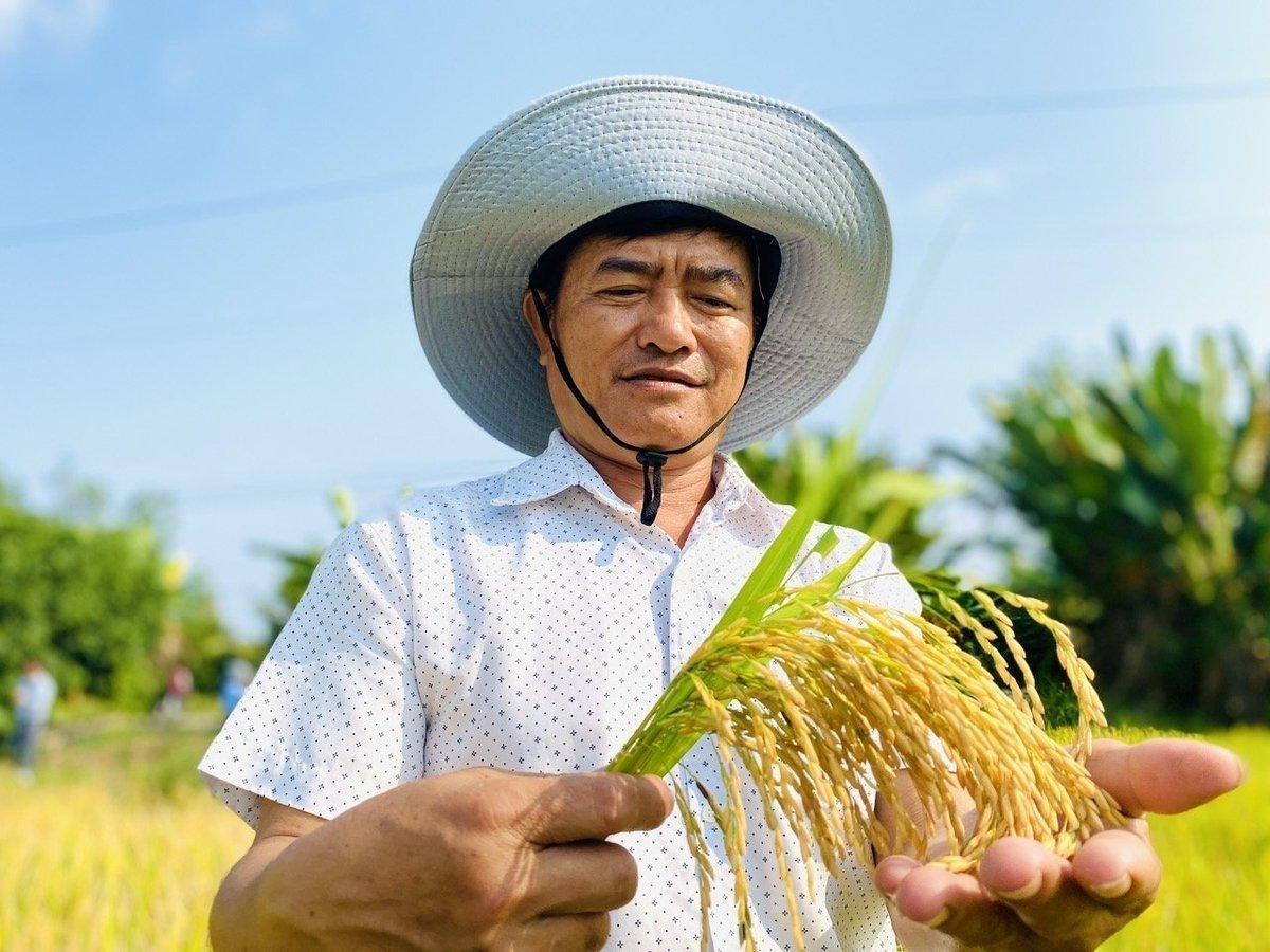 Bộ Nông nghiệp và Môi trường nhấn mạnh, việc triển khai phải được lồng ghép với các chương trình, dự án hiện có để tận dụng tối đa nguồn lực và giảm chồng chéo. Ảnh: Lê Hoàng Vũ.