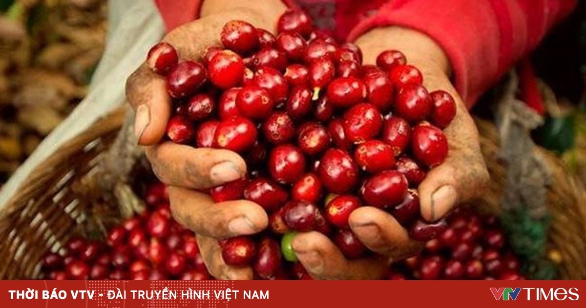 Tổng thống Mỹ cam kết hạ thuế nhập khẩu cà phê nhằm kiềm chế giá tăng