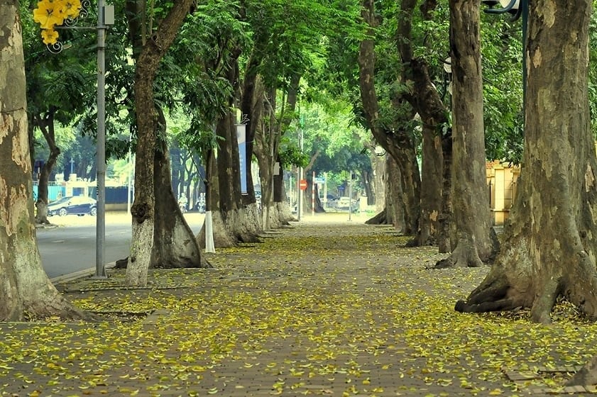 Jalan Phan Dinh Phung, Hanoi