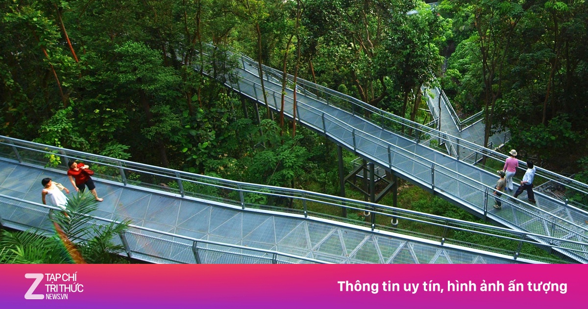 Singapore - ‘thiên đường xanh’ cho người mê khám phá cung đường mòn