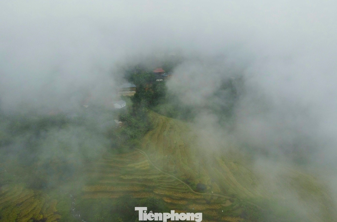 ຊາປາແທ່ງອານ1