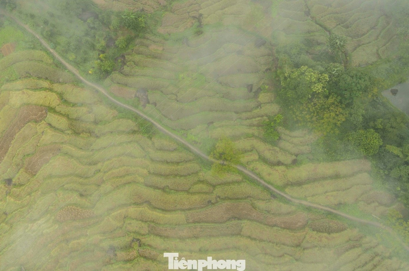 ຊາປາແທ່ງອານ7