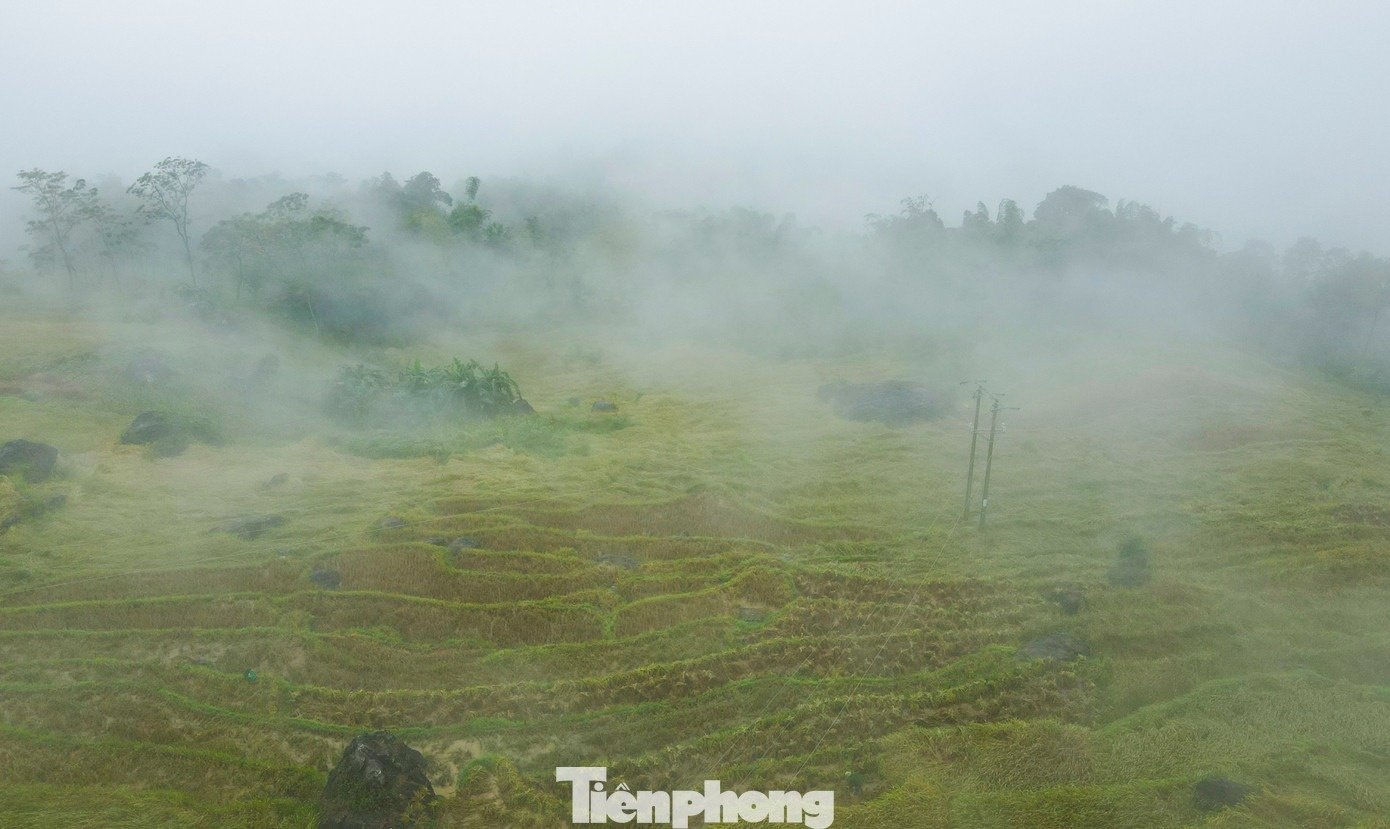 ຊາປາແທ່ງອານ8