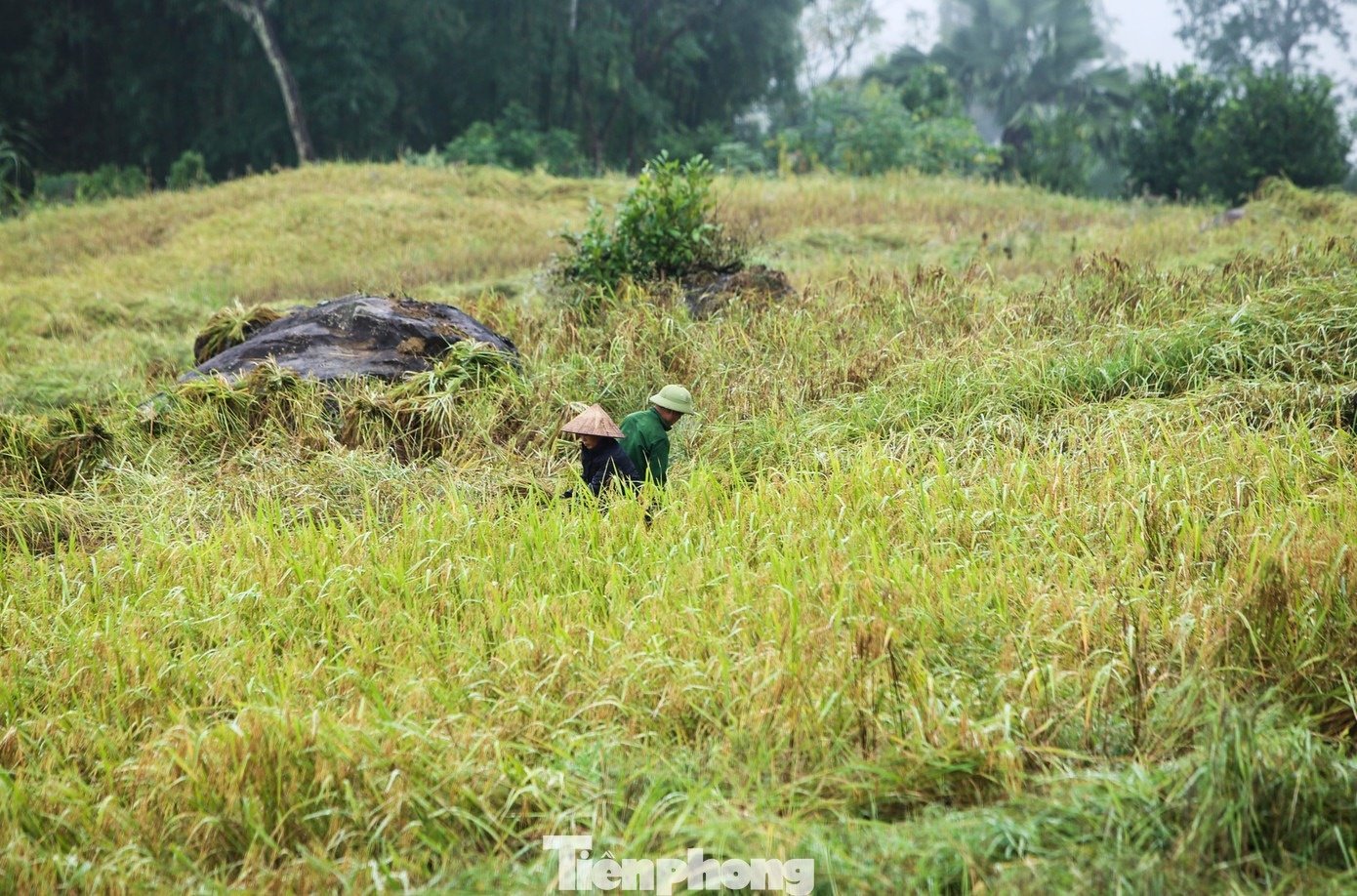 ຊາປາ ຊູແທ່ງອານ10