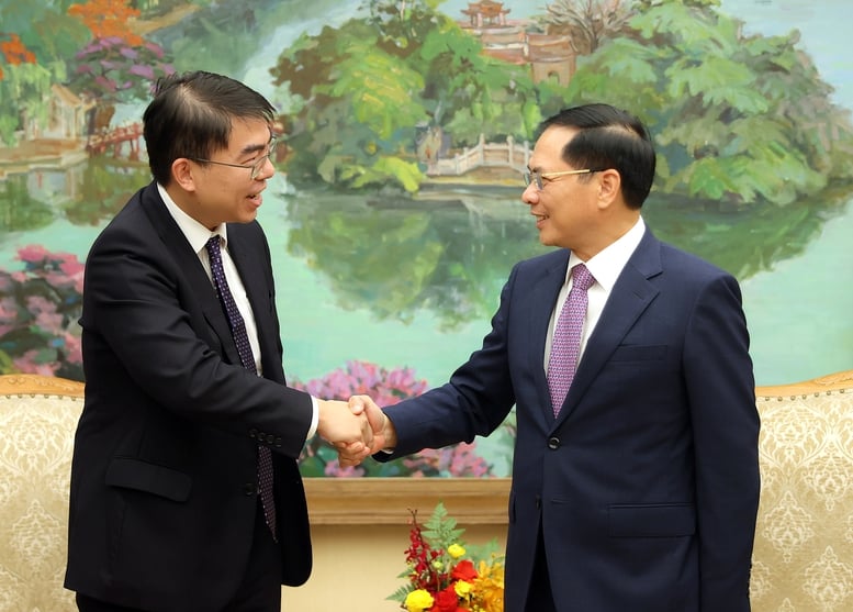 Phó Thủ tướng Bùi Thanh Sơn tiếp Giám đốc điều hành Tập đoàn Warburg Pincus- Ảnh 1.