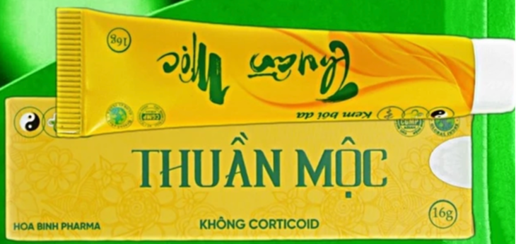 Thuần Mộc - Ảnh 1.