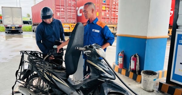 Giá xăng dầu hôm nay ngày 13/11/2025: Đảo chiều giảm nhẹ