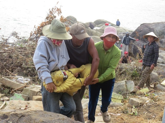 Di tích Sa Huỳnh hư hại vì bão- Ảnh 3.