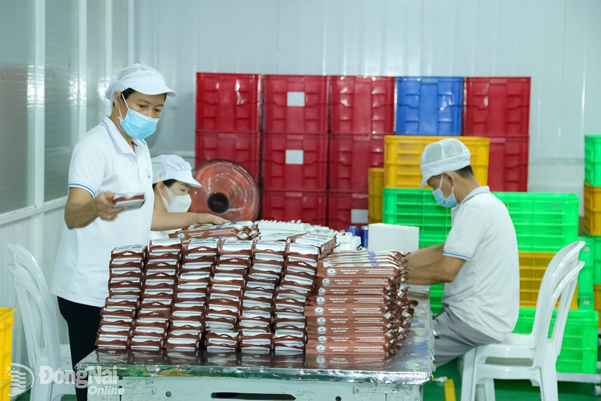 ផលិតកម្ម  នៃ confectionery នៅ  ក្រុមហ៊ុនភាគហ៊ុនរួម Domilk  (ឃុំឡុងថាញ់,  ខេត្ត Dong Nai)។