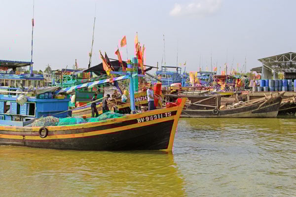 Sinds begin 2025 heeft de provincie geen vissersvaartuigen meer in buitenlandse wateren gehad. Foto: BA THI